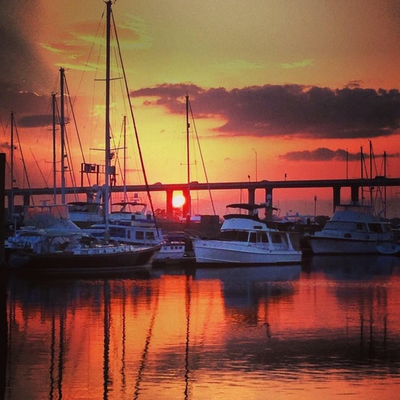 Meet your Posher, Katarina - Picture 1 of 1